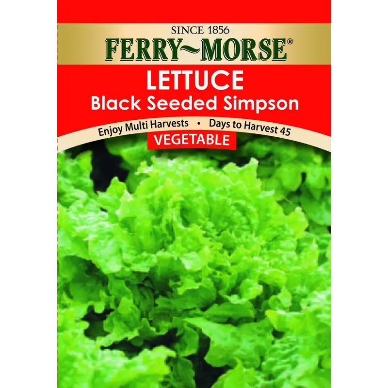 Ferry-Morse Large Vegetable Garden Seed Collection – Starter Variety Pack