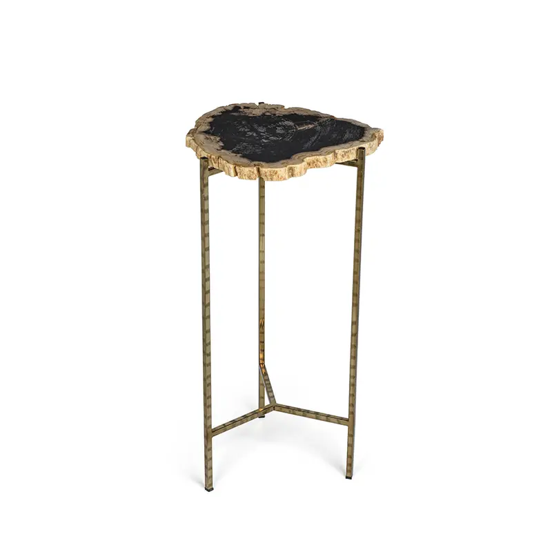 Medium Petrified Wood Side Table – Porto Alegre Collection