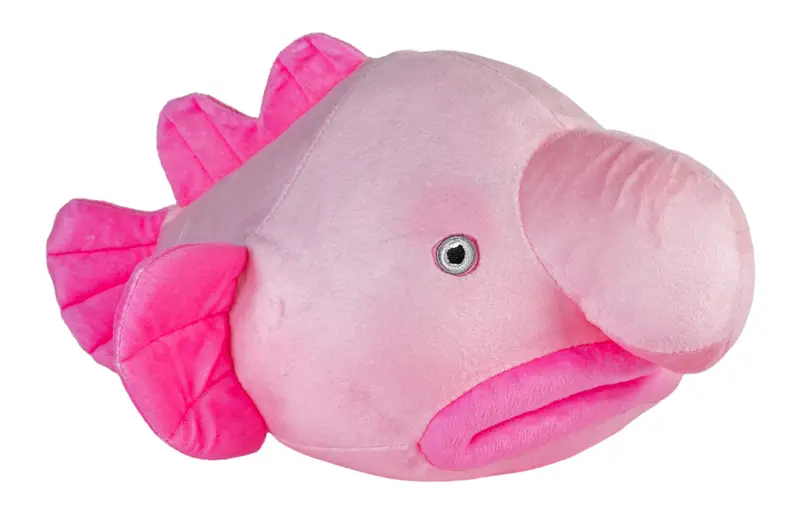 Wild Republic Cuddlekins Blobfish Squishy Plush Toy